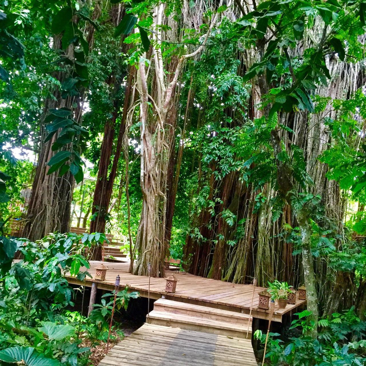 Matanivusi Beach Eco Resort Serua 외부 사진